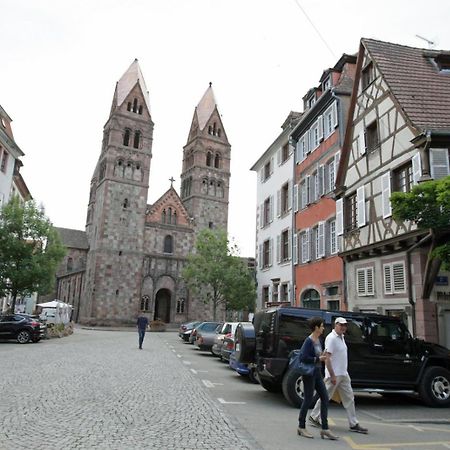 Gite Les Tourterelles Selestat - 30Min Europapark Luaran gambar